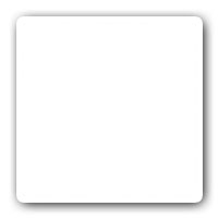 Text Color